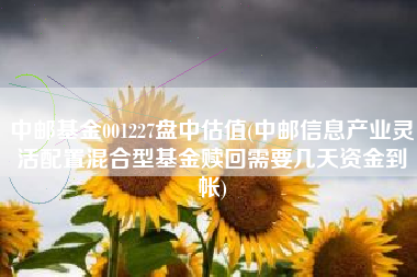 详细阅读:中邮基金001227盘中估值(中邮信息产业灵活配置混合型基金赎回需要几天资金到帐) 中邮基金001227盘中估值(中邮信息产业灵活配置混合型基金赎回需要几天资金到帐)