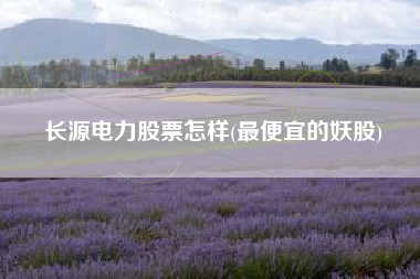 详细阅读:长源电力股票怎样(最便宜的妖股) 长源电力股票怎样(最便宜的妖股)
