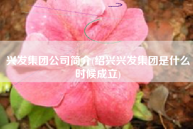 详细阅读:兴发集团公司简介(绍兴兴发集团是什么时候成立) 兴发集团公司简介(绍兴兴发集团是什么时候成立)