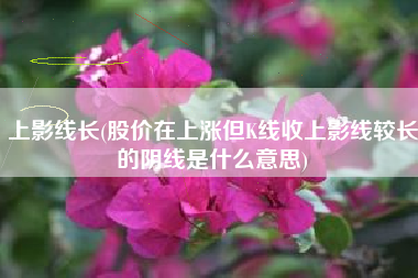 详细阅读:上影线长(股价在上涨但K线收上影线较长的阴线是什么意思) 上影线长(股价在上涨但K线收上影线较长的阴线是什么意思)