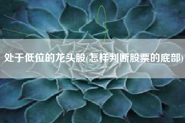 详细阅读:处于低位的龙头股(怎样判断股票的底部) 处于低位的龙头股(怎样判断股票的底部)