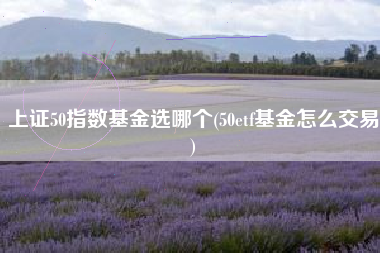 详细阅读:上证50指数基金选哪个(50etf基金怎么交易) 上证50指数基金选哪个(50etf基金怎么交易)