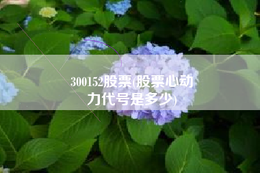 300152股票(股票心动
力代号是多少) 300152股票(股票心动
力代号是多少)