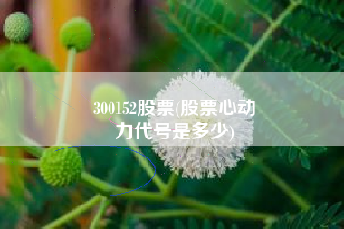 300152股票(股票心动
力代号是多少) 300152股票(股票心动
力代号是多少)