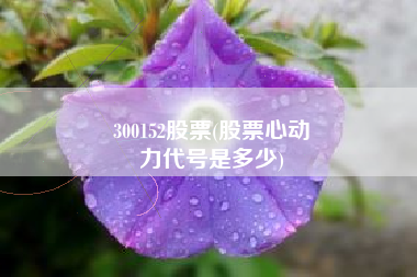 300152股票(股票心动
力代号是多少) 300152股票(股票心动
力代号是多少)