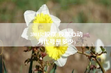 300152股票(股票心动
力代号是多少) 300152股票(股票心动
力代号是多少)
