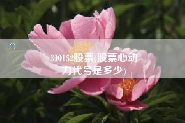 300152股票(股票心动
力代号是多少) 300152股票(股票心动
力代号是多少)