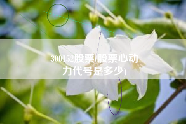 300152股票(股票心动
力代号是多少) 300152股票(股票心动
力代号是多少)