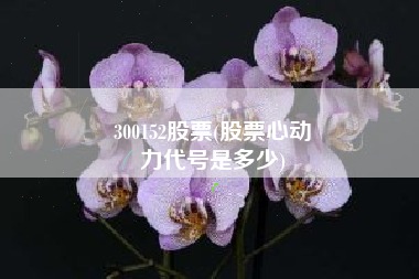 300152股票(股票心动
力代号是多少) 300152股票(股票心动
力代号是多少)