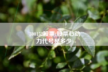 300152股票(股票心动
力代号是多少) 300152股票(股票心动
力代号是多少)