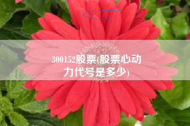 300152股票(股票心动
力代号是多少) 300152股票(股票心动
力代号是多少)