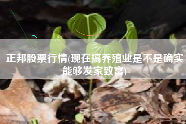 详细阅读:正邦股票行情(现在搞养殖业是不是确实能够发家致富) 正邦股票行情(现在搞养殖业是不是确实能够发家致富)