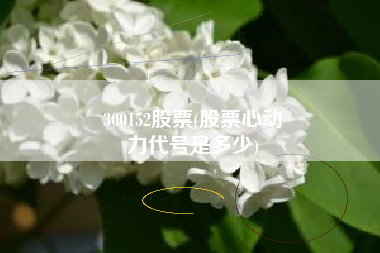 300152股票(股票心动
力代号是多少) 300152股票(股票心动
力代号是多少)