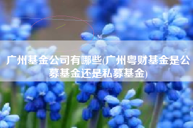 广州基金公司有哪些(广州粤财基金是公募基金还是私募基金)