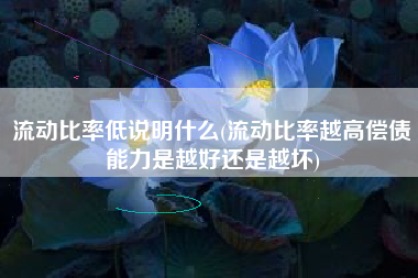 流动比率低说明什么(流动比率越高偿债能力是越好还是越坏)