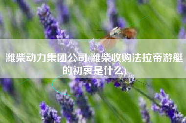 潍柴动力集团公司(潍柴收购法拉帝游艇的初衷是什么)