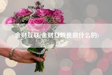 金财互联(金财互联是做什么的)