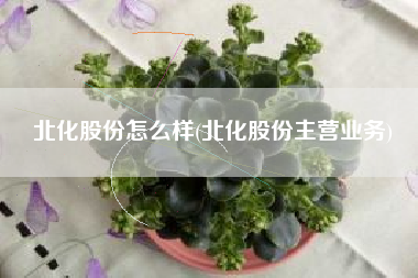 北化股份怎么样(北化股份主营业务)