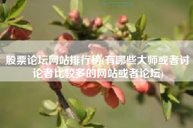 股票论坛网站排行榜(有哪些大师或者讨论者比较多的网站或者论坛)