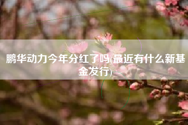 鹏华动力今年分红了吗(最近有什么新基金发行)