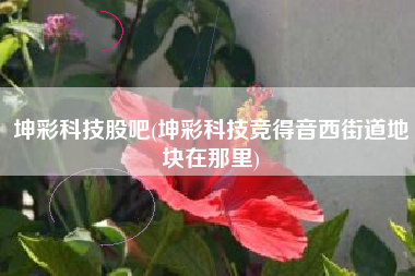 坤彩科技股吧(坤彩科技竞得音西街道地块在那里)
