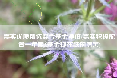 嘉实优质精选混合基金净值(嘉实积极配置一年期A基金现在跌的厉害)