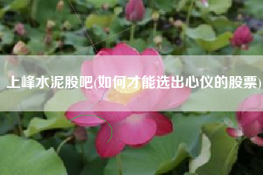上峰水泥股吧(如何才能选出心仪的股票)