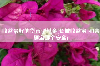 收益最好的货币型基金(长城收益宝a和余额宝哪个安全)