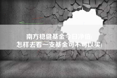 南方稳健基金今日净值(
怎样去看一支基金可不可以买)