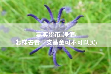 嘉实货币a净值(
怎样去看一支基金可不可以买)