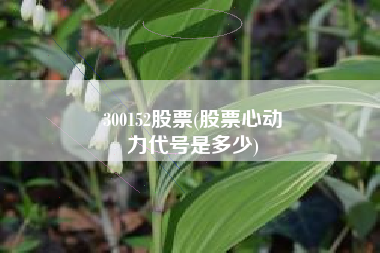 300152股票(股票心动
力代号是多少) 300152股票(股票心动
力代号是多少)