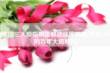 美国三大股指期货触及涨停限制(这是1929的百年大周期吗)