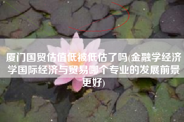 厦门国贸估值低被低估了吗(金融学经济学国际经济与贸易哪个专业的发展前景更好)