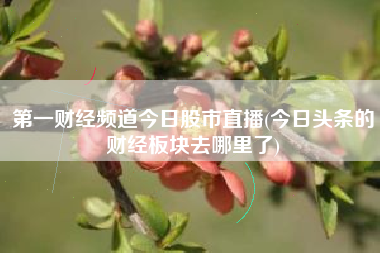 第一财经频道今日股市直播(今日头条的财经板块去哪里了)