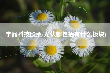 宇晶科技股票(光伏都包括有什么板块)
