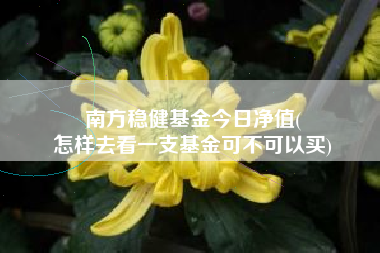 南方稳健基金今日净值(
怎样去看一支基金可不可以买)