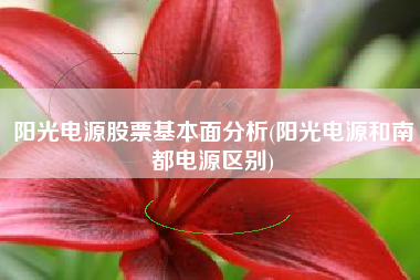 阳光电源股票基本面分析(阳光电源和南都电源区别)
