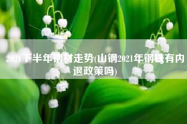2021下半年钢材走势(山钢2021年钢铁有内退政策吗)