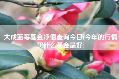大成蓝筹基金净值查询今日(今年的行情买什么基金最好)