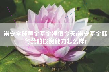 诺安全球黄金基金净值今天(诺安基金韩冬燕的投资能力怎么样)
