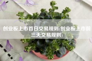 创业板上市首日交易规则(创业板上市前三天交易规则)