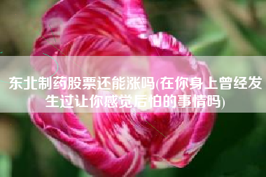 东北制药股票还能涨吗(在你身上曾经发生过让你感觉后怕的事情吗)