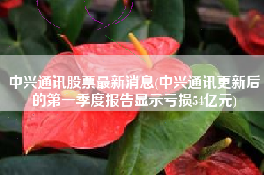 中兴通讯股票最新消息(中兴通讯更新后的第一季度报告显示亏损54亿元)