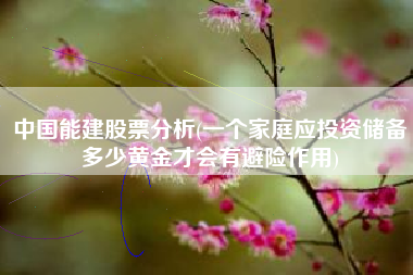 中国能建股票分析(一个家庭应投资储备多少黄金才会有避险作用)