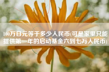 100万日元等于多少人民币(可是家里只能提供第一年的启动基金六到七万人民币)
