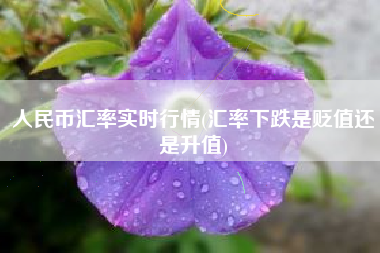 人民币汇率实时行情(汇率下跌是贬值还是升值)