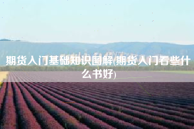 期货入门基础知识图解(期货入门看些什么书好)