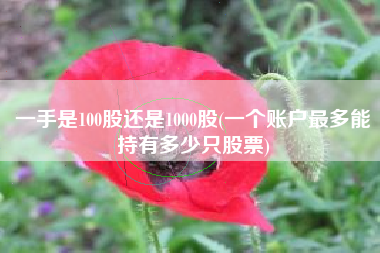 一手是100股还是1000股(一个账户最多能持有多少只股票)