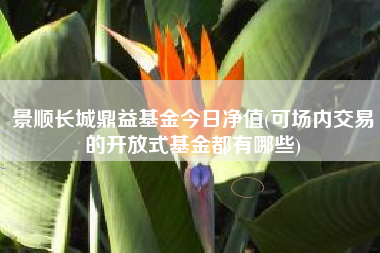 景顺长城鼎益基金今日净值(可场内交易的开放式基金都有哪些)
