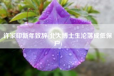 许家印新年致辞(北大博士生沦落成低保户)
